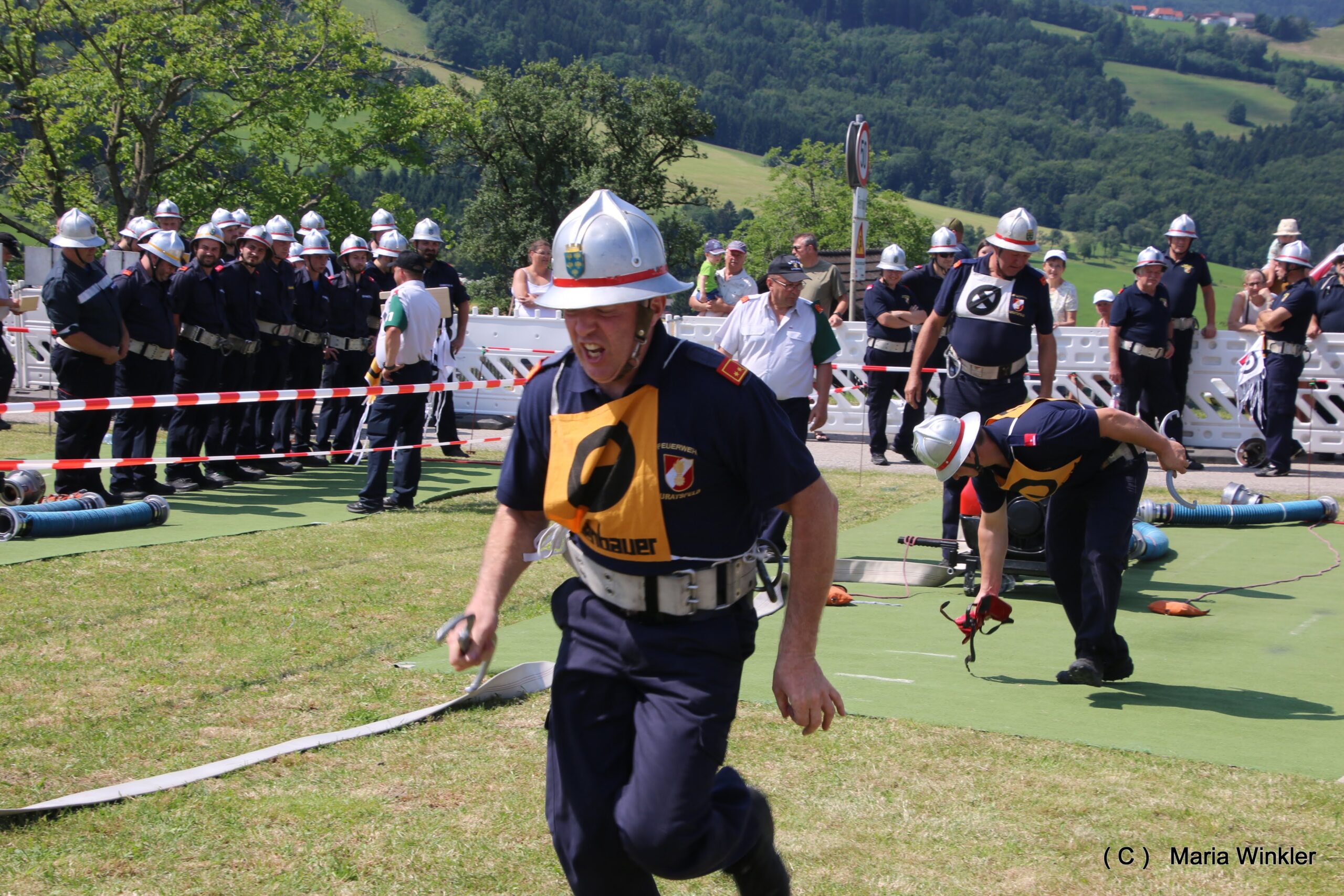 IMG 3989